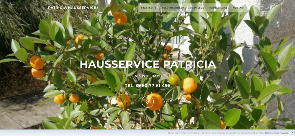 http://patricia-hausservice.at